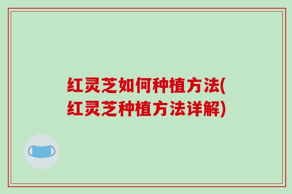 红灵芝如何种植方法(红灵芝种植方法详解)