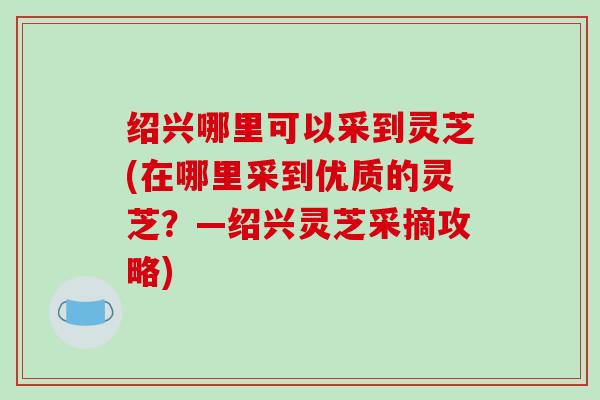 绍兴哪里可以采到灵芝(在哪里采到优质的灵芝?—绍兴灵芝采摘攻略)