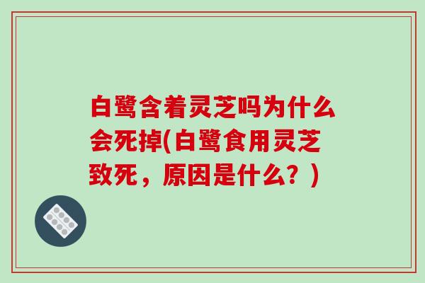 白鹭含着灵芝吗为什么会死掉(白鹭食用灵芝致死,原因是什么?)