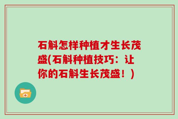 石斛怎样种植才生长茂盛(石斛种植技巧:让你的石斛生长茂盛!)