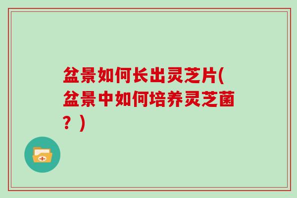 盆景如何长出灵芝片(盆景中如何培养灵芝菌?)