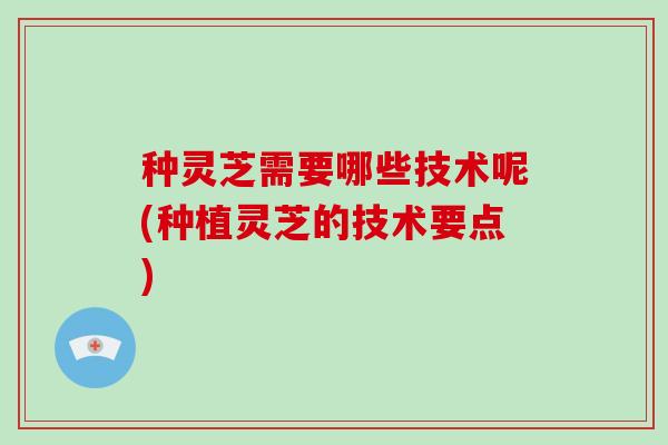 种灵芝需要哪些技术呢(种植灵芝的技术要点)