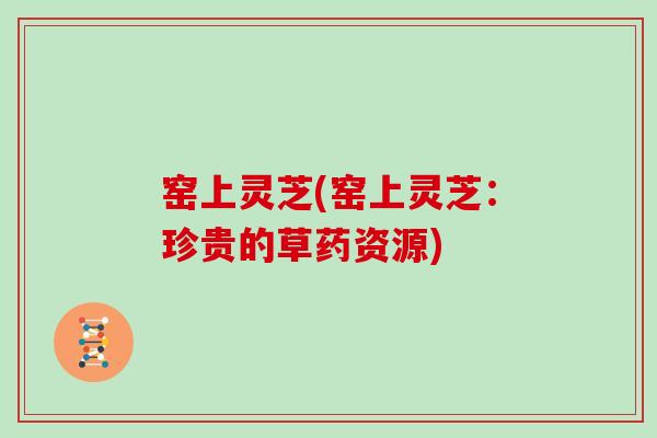 窑上灵芝(窑上灵芝:珍贵的草药资源)