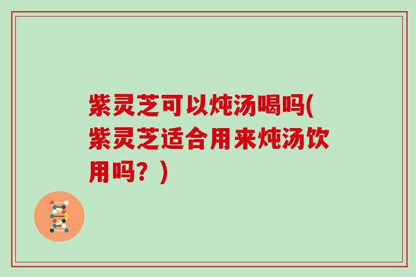 紫灵芝可以炖汤喝吗(紫灵芝适合用来炖汤饮用吗?)