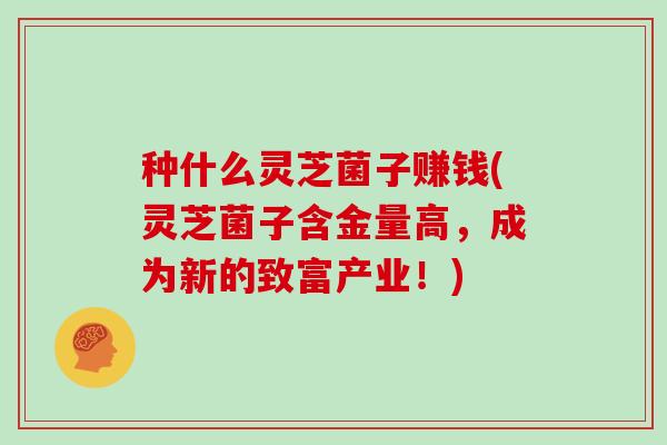 种什么灵芝菌子赚钱(灵芝菌子含金量高,成为新的致富产业!)