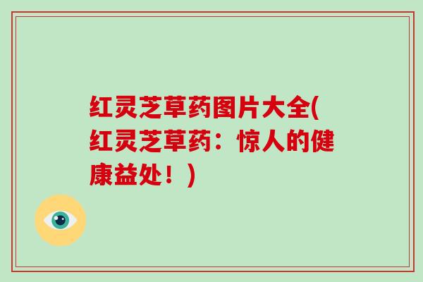 红灵芝草药图片大全(红灵芝草药：惊人的健康益处！)