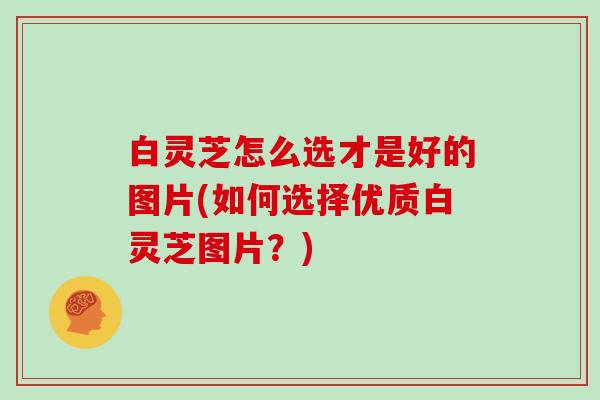 白灵芝怎么选才是好的图片(如何选择优质白灵芝图片？)
