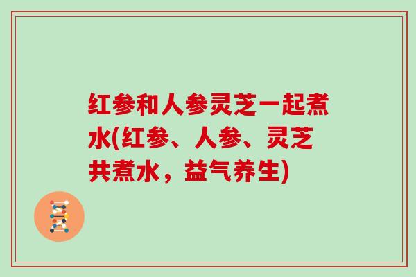 红参和人参灵芝一起煮水(红参、人参、灵芝共煮水,益气养生)