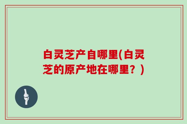 白灵芝产自哪里(白灵芝的原产地在哪里？)