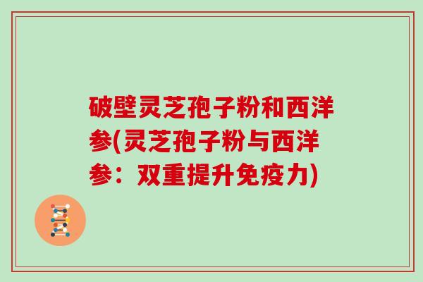 破壁灵芝孢子粉和西洋参(灵芝孢子粉与西洋参：双重提升免疫力)