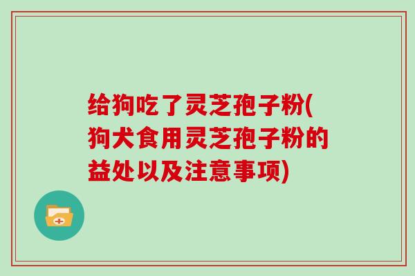 给狗吃了灵芝孢子粉(狗犬食用灵芝孢子粉的益处以及注意事项)