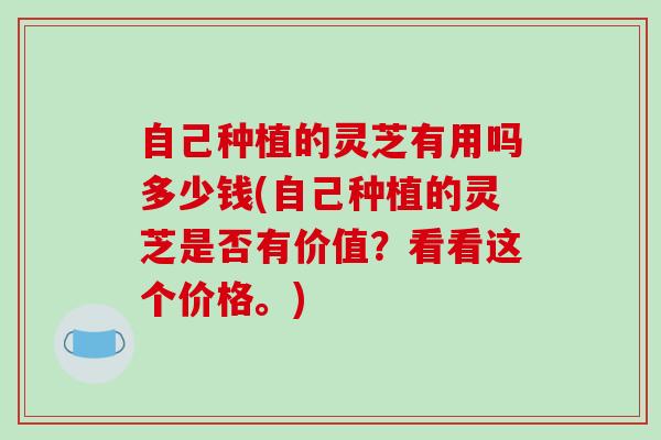 自己种植的灵芝有用吗多少钱(自己种植的灵芝是否有价值?看看这个价格。)