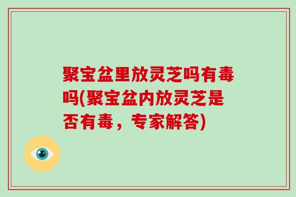聚宝盆里放灵芝吗有毒吗(聚宝盆内放灵芝是否有毒，专家解答)