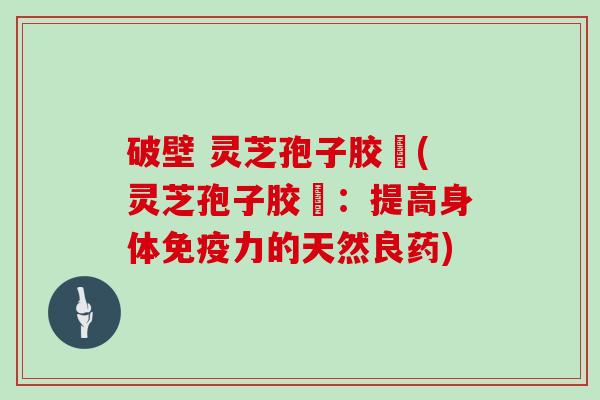 破壁 灵芝孢子胶堯(灵芝孢子胶堯:提高身体免疫力的天然良药)