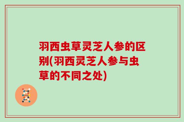 羽西虫草灵芝人参的区别(羽西灵芝人参与虫草的不同之处)