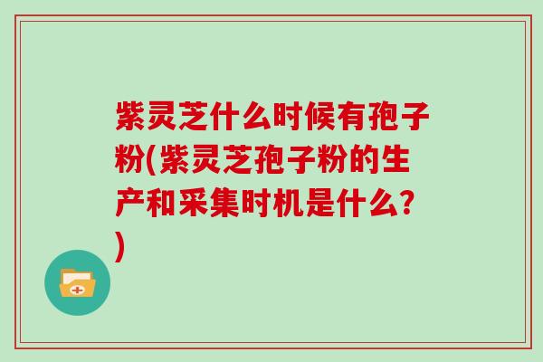 紫灵芝什么时候有孢子粉(紫灵芝孢子粉的生产和采集时机是什么？)