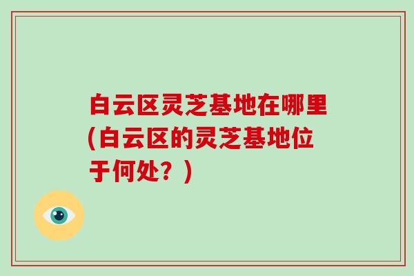 白云区灵芝基地在哪里(白云区的灵芝基地位于何处?)