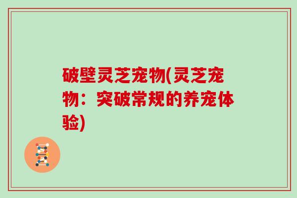 破壁灵芝宠物(灵芝宠物：突破常规的养宠体验)