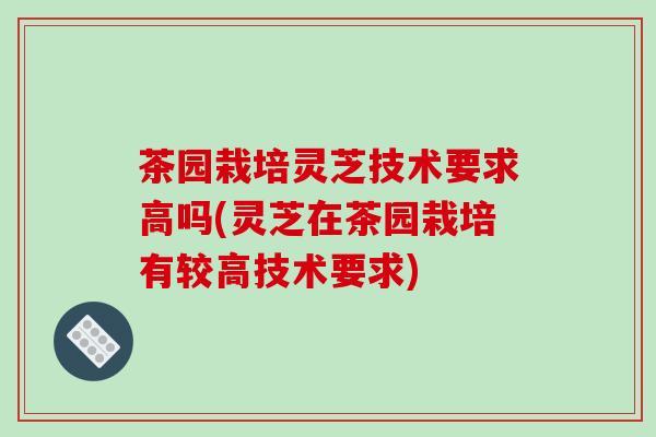 茶园栽培灵芝技术要求高吗(灵芝在茶园栽培有较高技术要求)
