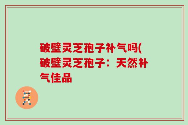 破壁灵芝孢子补气吗(破壁灵芝孢子:天然补气佳品
