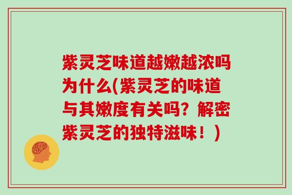 紫灵芝味道越嫩越浓吗为什么(紫灵芝的味道与其嫩度有关吗?解密紫灵芝的独特滋味!)