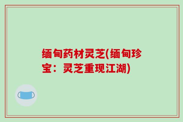 缅甸药材灵芝(缅甸珍宝:灵芝重现江湖)
