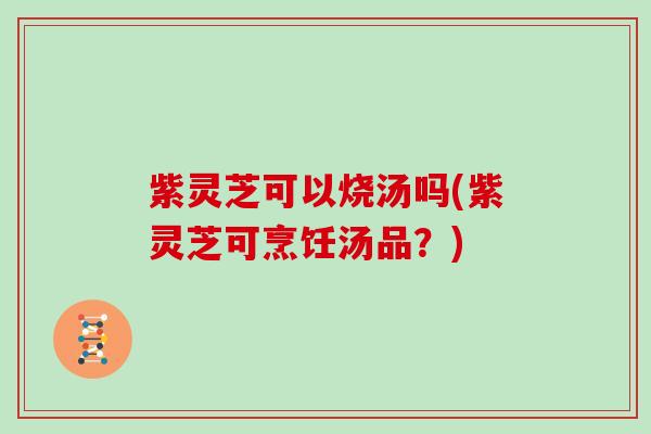 紫灵芝可以烧汤吗(紫灵芝可烹饪汤品?)