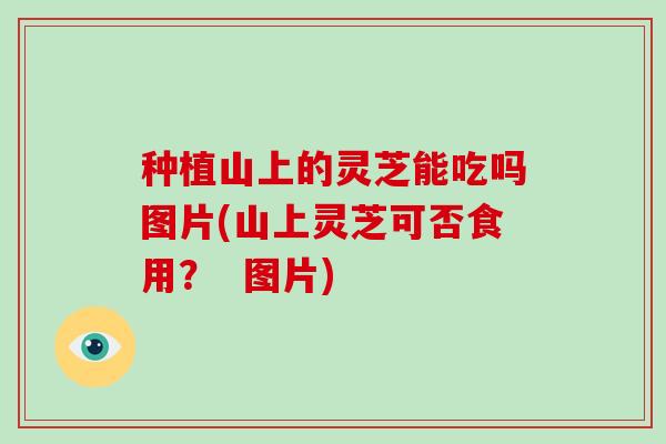 种植山上的灵芝能吃吗图片(山上灵芝可否食用？  图片)