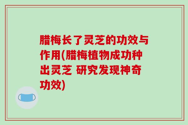 腊梅长了灵芝的功效与作用(腊梅植物成功种出灵芝 研究发现神奇功效)