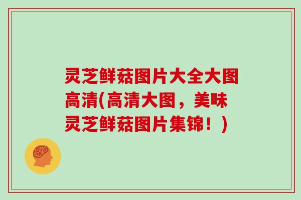 灵芝鲜菇图片大全大图高清(高清大图,美味灵芝鲜菇图片集锦!)