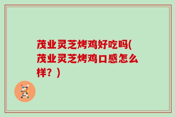 茂业灵芝烤鸡好吃吗(茂业灵芝烤鸡口感怎么样？)