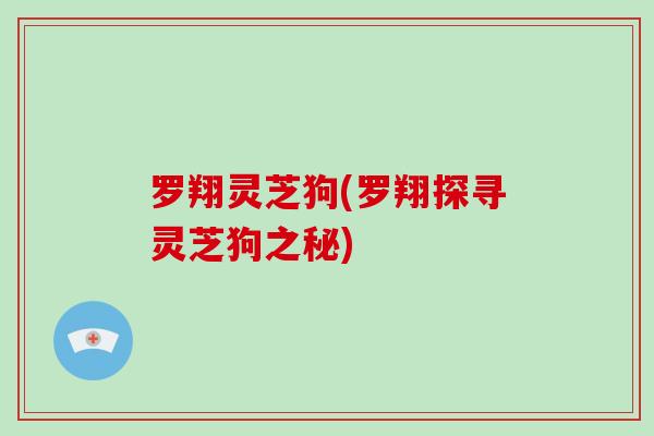 罗翔灵芝狗(罗翔探寻灵芝狗之秘)