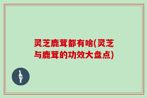 灵芝鹿茸都有啥(灵芝与鹿茸的功效大盘点)