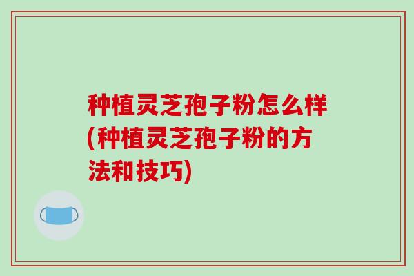 种植灵芝孢子粉怎么样(种植灵芝孢子粉的方法和技巧)