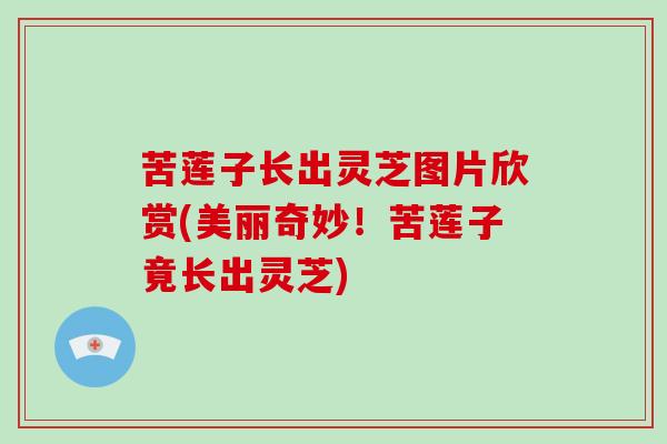 苦莲子长出灵芝图片欣赏(美丽奇妙!苦莲子竟长出灵芝)