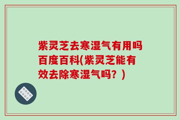 紫灵芝去寒湿气有用吗百度百科(紫灵芝能有效去除寒湿气吗?)