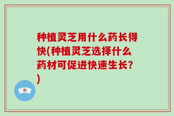种植灵芝用什么药长得快(种植灵芝选择什么药材可促进快速生长?)