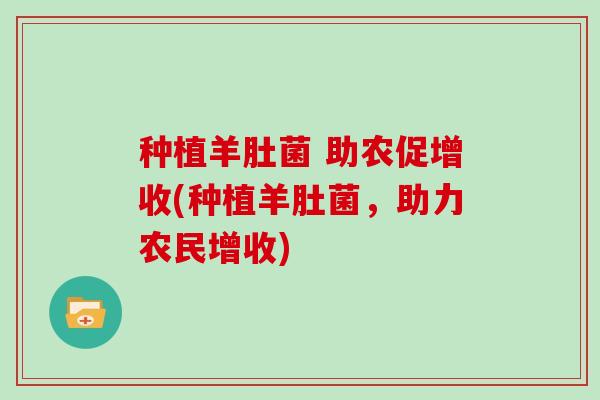 种植羊肚菌 助农促增收(种植羊肚菌，助力农民增收)