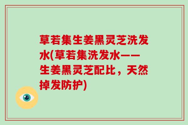 草若集生姜黑灵芝洗发水(草若集洗发水——生姜黑灵芝配比,天然掉发防护)