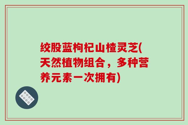 绞股蓝枸杞山楂灵芝(天然植物组合,多种营养元素一次拥有)