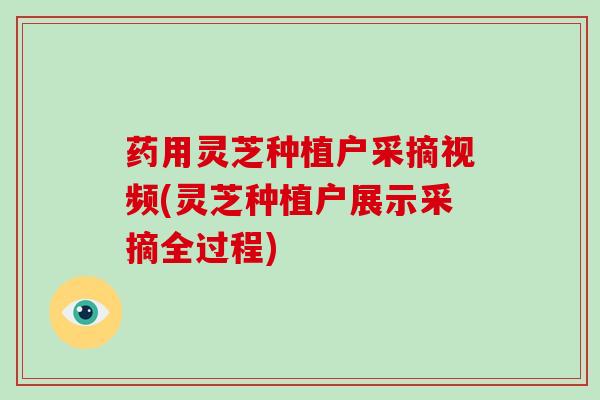 药用灵芝种植户采摘视频(灵芝种植户展示采摘全过程)