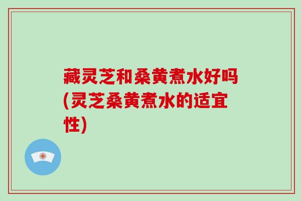 藏灵芝和桑黄煮水好吗(灵芝桑黄煮水的适宜性)