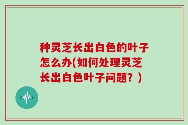 种灵芝长出白色的叶子怎么办(如何处理灵芝长出白色叶子问题?)