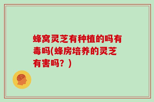 蜂窝灵芝有种植的吗有毒吗(蜂房培养的灵芝有害吗？)