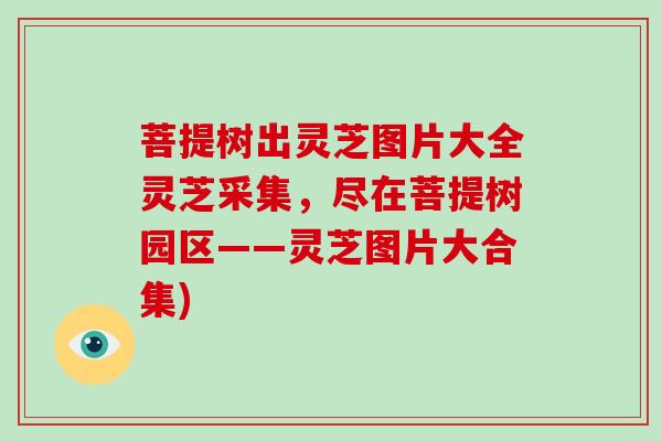 菩提树出灵芝图片大全灵芝采集，尽在菩提树园区——灵芝图片大合集)