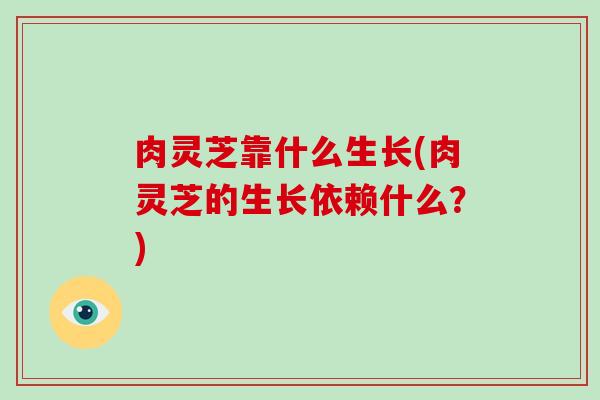 肉灵芝靠什么生长(肉灵芝的生长依赖什么？)