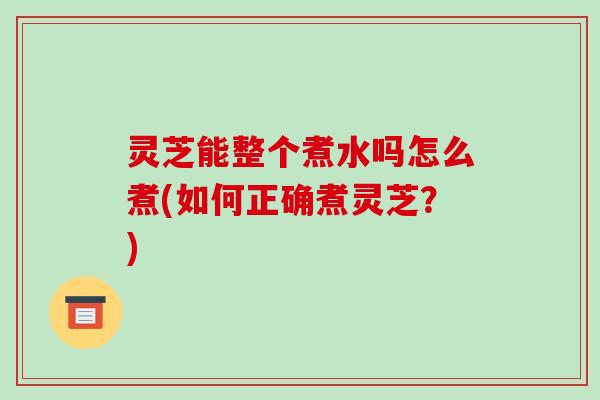 灵芝能整个煮水吗怎么煮(如何正确煮灵芝?)