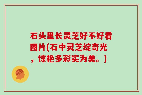 石头里长灵芝好不好看图片(石中灵芝绽奇光,惊艳多彩实为美。)