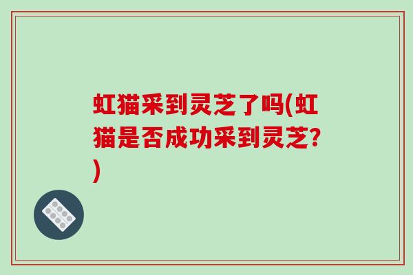 虹猫采到灵芝了吗(虹猫是否成功采到灵芝?)