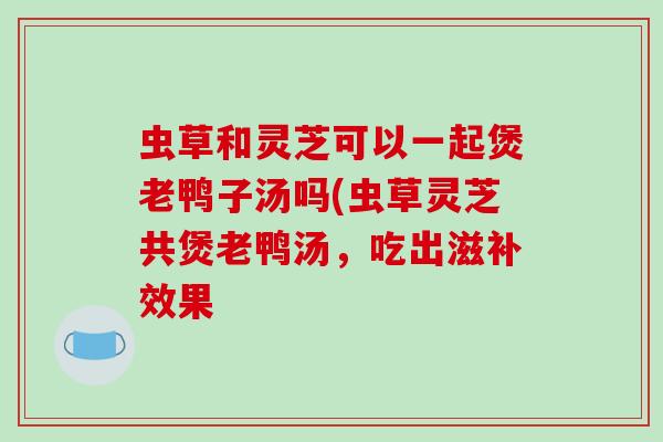 虫草和灵芝可以一起煲老鸭子汤吗(虫草灵芝共煲老鸭汤，吃出滋补效果